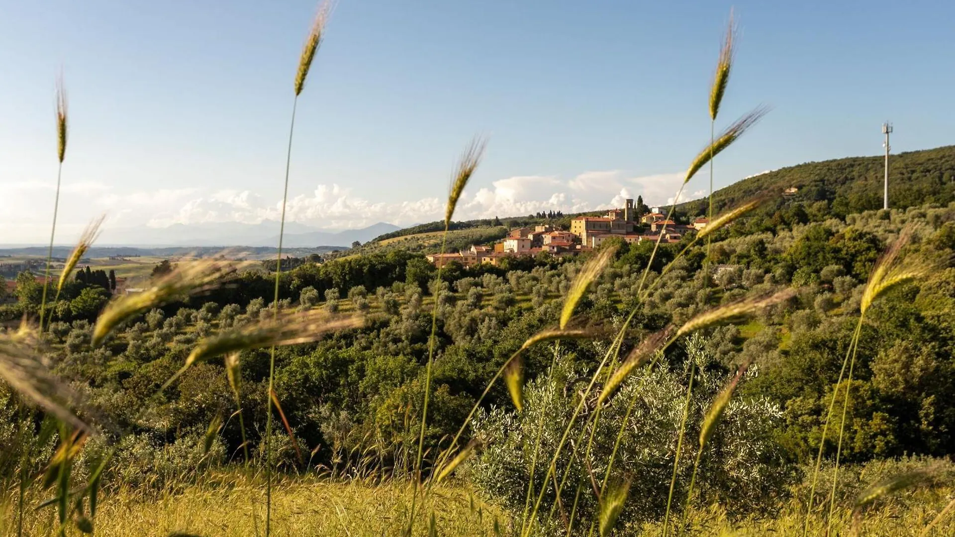 Casale Bianca Luce By Halldis Santa Luce Italy